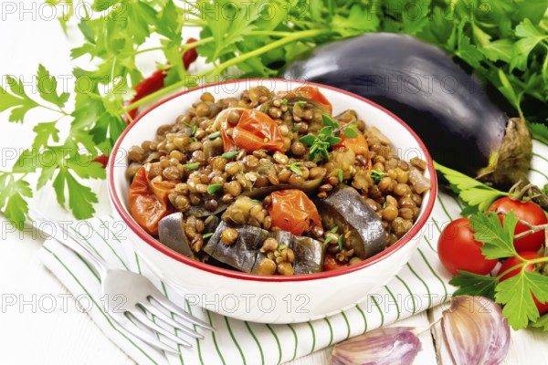 Green lentils stewed with eggplant, tomatoes, garlic and spices in a bowl on a napkin, parsley on