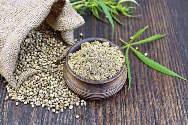 Hemp flour in a clay bowl, the grain in the bag and on the table, green cannabis leaf on a