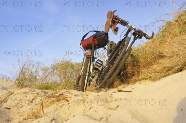 Two bicycles on the sea sand, a Bicycle in the sunset rays, Curonian spit, Zelenograd district,