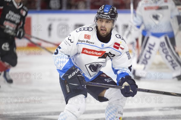 LanxessArena, North Rhine-Westphalia, Fabio Wagner (ERC Ingolstadt, #5), PENNY DEL, Kölner Haie-ERC