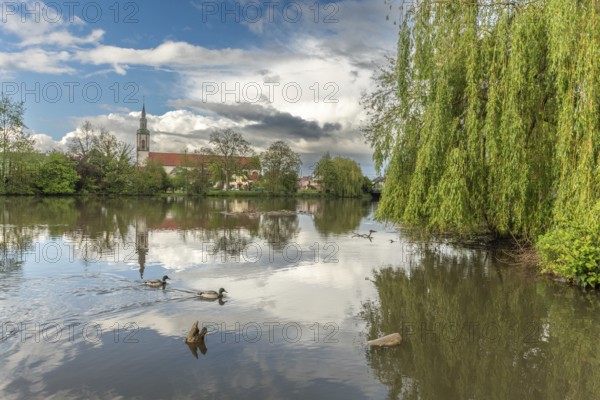 Huttenheim village reflected in a natural tree-lined river in spring. Bas Rhin, Alsace, France,