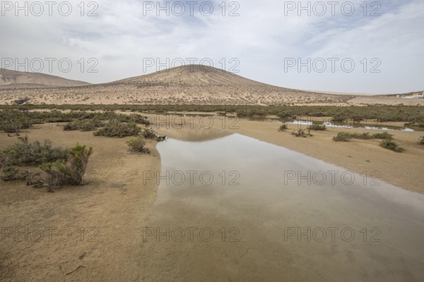 A sandy beach with a shallow lagoon by the sea. Barren landscape, taken in the evening. sandy beach
