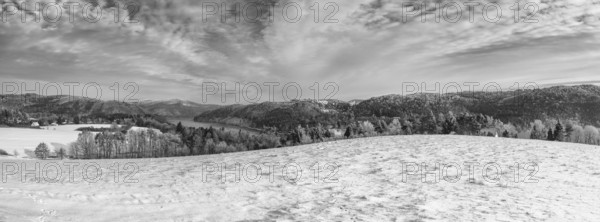 Above the Slapy dam in winter. Snow and hoarfrost covered trees in the frosty morning. Amazing