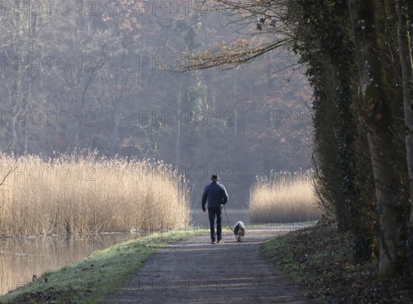 Elderly man walking a small dog on the shore of a lake, morning calm in autumn, Burghausen, Upper
