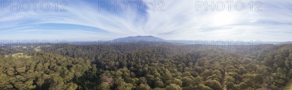 Aerial view near Central Tilba of Mount Dromedary in Gulaga National Park in New South Wales,