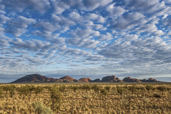 Kata Tjuta, formerly The Olgas, panorama, view from south, Uluru-Kata Tjuta National Park, Northern