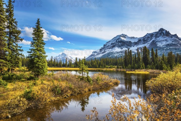 Pine trees reflected in smooth water of the lake. Sunny day. Waterlogged valley in the snowy Rocky