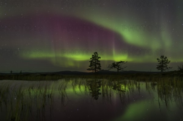 Northern Lights (Aurora borealis) reflected in a mountain lake, Gällivare, Norrbotten, Lapland,
