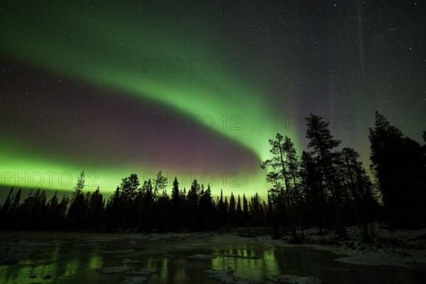 Northern Lights (Aurora borealis), Muddus National Park, Laponia World Heritage Site, Norrbotten,