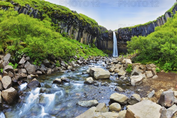Black basalt columns frame the water jet. Picturesque waterfall Svartifoss in Skaftafell National