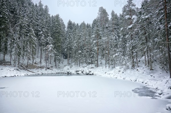 An image of the Eibsee at winter