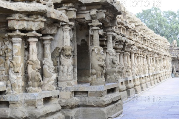 Vishnu Varadaraja Temple, Kanchipuram, Tamil Nadu, row of ornately carved stone pillars in an