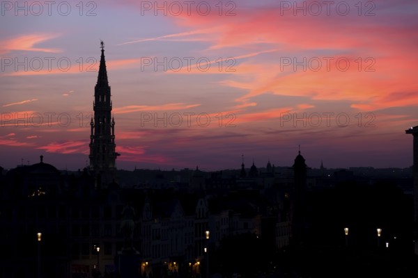 Cathedral and statue of king Albert I at sunset, Brussel, Belgium, Europe