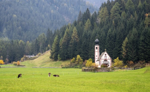 The small and beautiful church of Saint John, Ranui, Chiesetta di san giovanni in Ranui Runes South