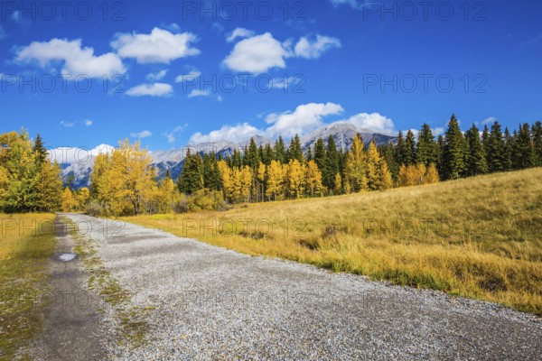 The concept of recreational tourism. Bright shining autumn day in Canmore, near Banff National Park