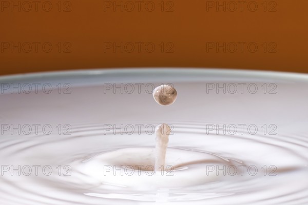 A gentle drop falls into milk and develops soft, concentric circles, water droplets, collision,