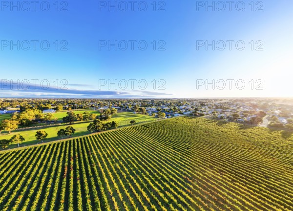 Autumn sunset around the rural country town of Penola in the Coonawarra wine region in South