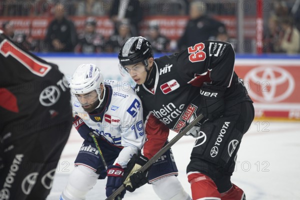 LanxessArena, Cologne, North Rhine-Westphalia, +kh65+, hatch Esposito (Adler Mannheim, #19), PENNY