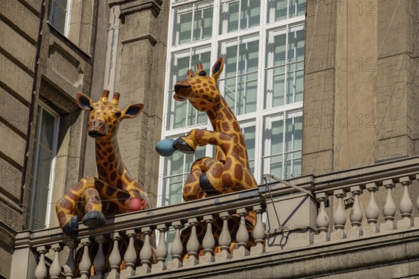 Two humorous giraffe sculptures on a balcony of a municipal building in front of large windows,