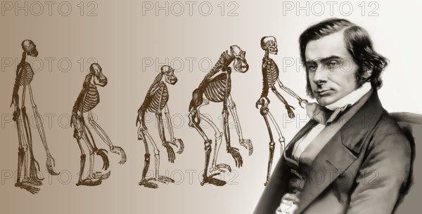 Portrait of Thomas Henry Huxley, 1825 – 1895, English biologist and anthropologist, specialized in