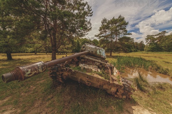 Abandoned tank in a meadow under a cloudy sky, surrounded by trees and grass, sprayed with