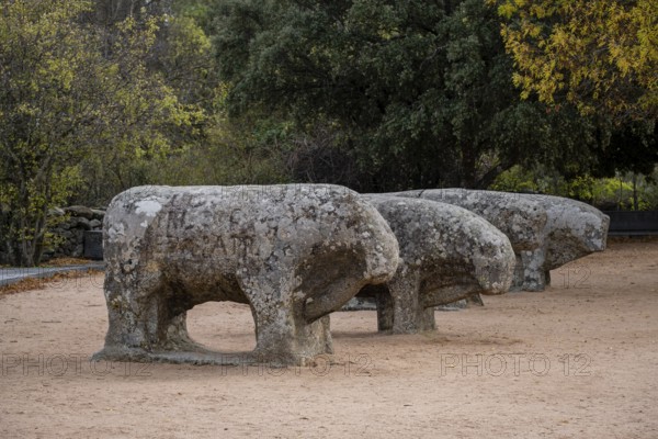 Bulls of Guisando, Vetón sculptural group, 4th and 3rd centuries BC, Iron Age, Ávila, province of