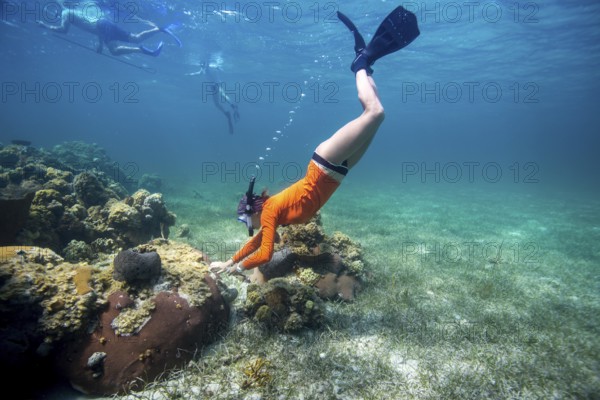 A snorkeler exploring a coral reef under clear blue water, showcasing vibrant marine life,