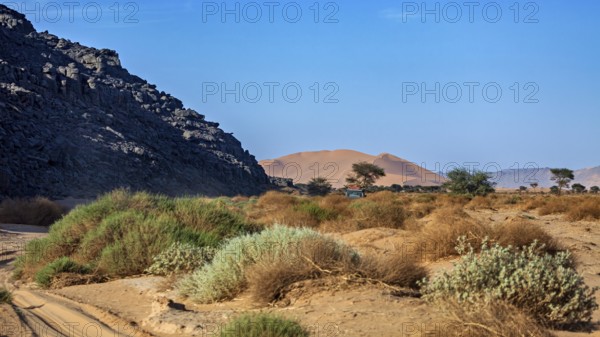 Rough desert landscape with dunes in the background and scattered vegetation, The landscape of the