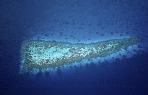 Aerial View of Coral Reefs at Maldives, Aerial View of Coral Reefs at Maldives, land photography,