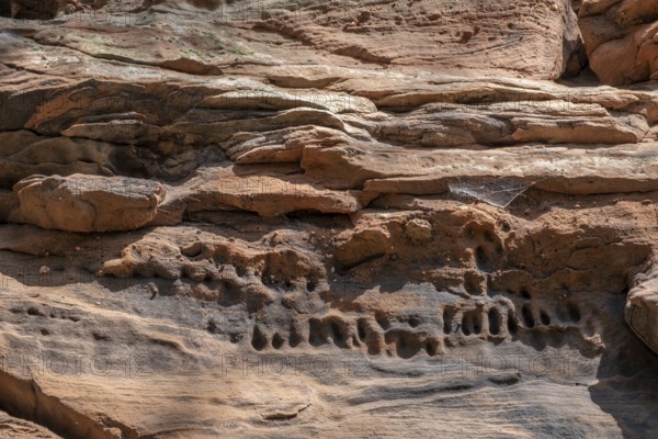 Detail of the Geiersteinfelsen, Geierstein, sandstone, Palatinate Forest, Bruchweiler-Bärenbach,