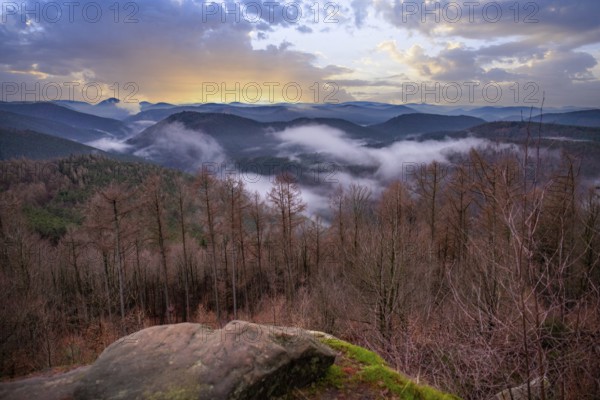 Landscape shot with cloudy sky and fog in the valley. View from a rock in the middle of forest and