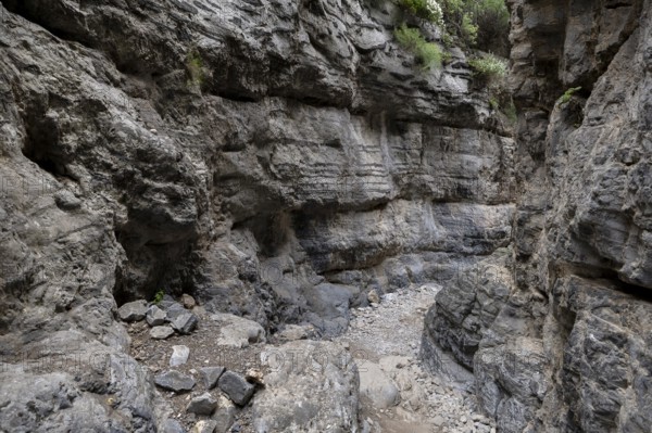 Imbros Gorge, Crete, Greece, 23 May 2025 < english> Imbros Gorge, Crete, Greece, May 23, 2025,
