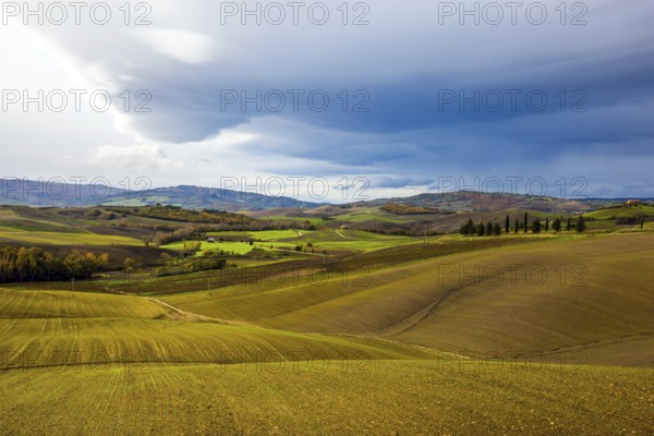 Rural farms. Smooth rows of plowed fields and meadows. Picturesque hills of the legendary Tuscany.