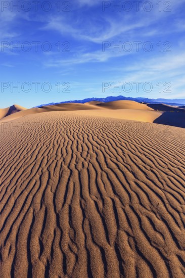 Mesquite Flat Sand Dunes. Bright solar morning in picturesque part of Death Valley. Thin waves on