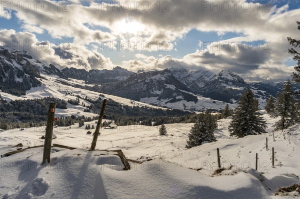 Wonderful winter hike from Restaurant Eggli over the Forstseeli and Diepoldsauer sponge to the