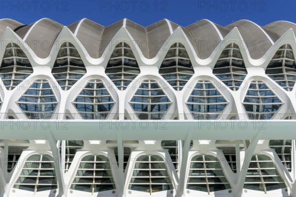 Detail of the roof of the white futuristic building of the science museum Prinz Philip (Museu de