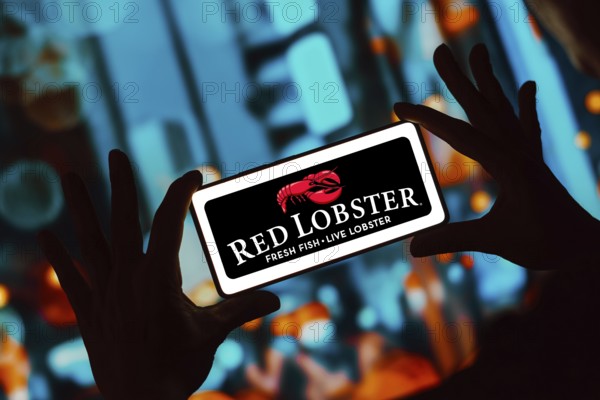 December 13, 2023, Brazil. In this photo illustration, the Red Lobster logo is displayed on a