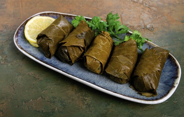Dolma, minced meat with rice, in grape leaves, rolls with minced meat, on a plate, top view, no