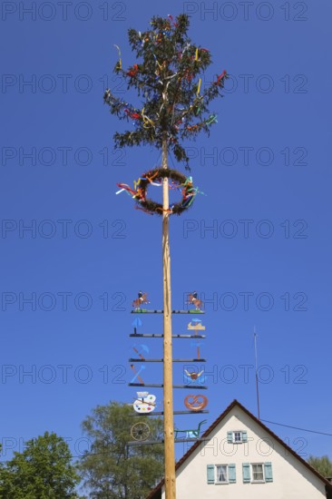 Maypole, customs, symbols of craftsmanship, tradition, decorated fir tree, wreath, ribbons, rear