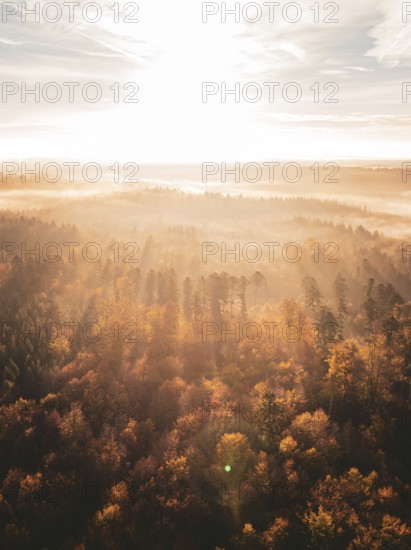 Sunbeams break through the fog over an autumnal forest, creating an atmospheric morning landscape,