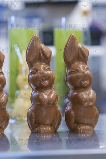 Close-up of two chocolate bunnies on a shiny table, Easter baking and chocolate icing at