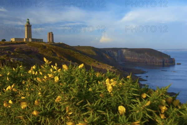 Coastal landscape with cliffs and sea, a lighthouse at Cap Frehel, gorse in the foreground, Cap
