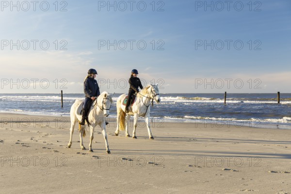 2 riders on a grey horse on the north beach of Norderney, Lower Saxony, Germany