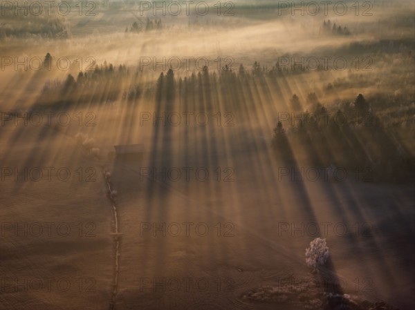 Sunrise, fog, hoarfrost, forest, winter, backlight, aerial view, Loisach-Lake Kochel-Moor, Alpine