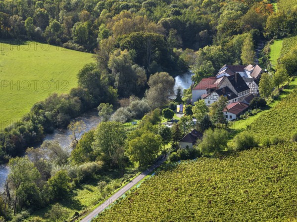 View of the state winery Kloster Pforta on the Saale with vineyard, Naumburg, Saxony-Anhalt,