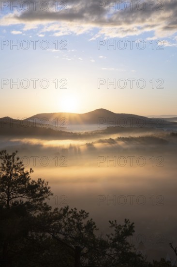 Mystical sunrise at the Wachtfelsen. Fascinating landscape shot between fog and clouds near