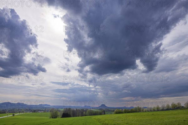 The Kirschallee from Altendorf to Rathmannsdorf with the Königstein Fortress and the Lilienstein on