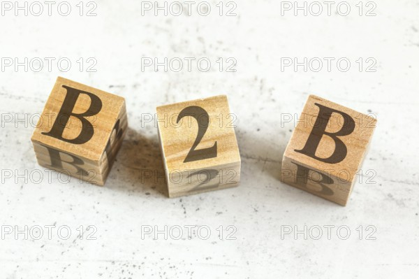 Three wooden cubes with letters B2B - stands for Business to Busines - on white board, Liptovsky
