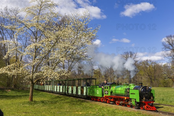 The popular small railway in Dresden's Great Garden has been in operation for 75 years. The steam