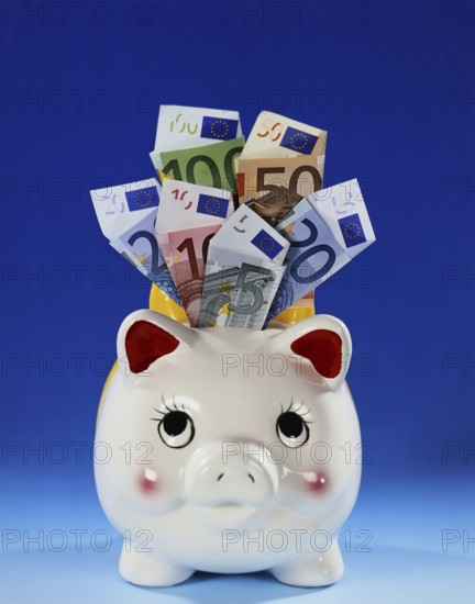Symbol photo money, luck, saving, piggy bank with euro banknotes studio photo, Lower Saxony,